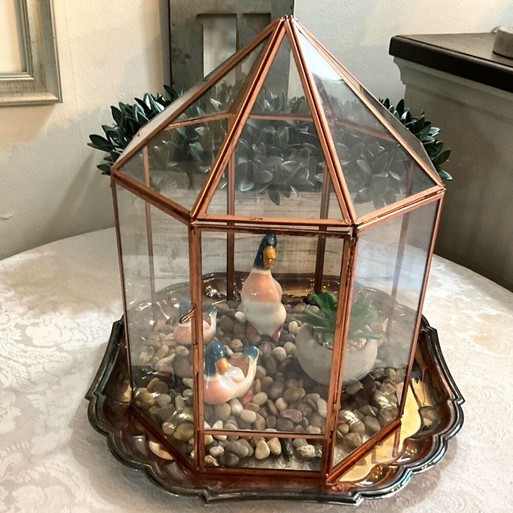 Stunning glass terrarium with copper trim geometric absolutely gorgeous